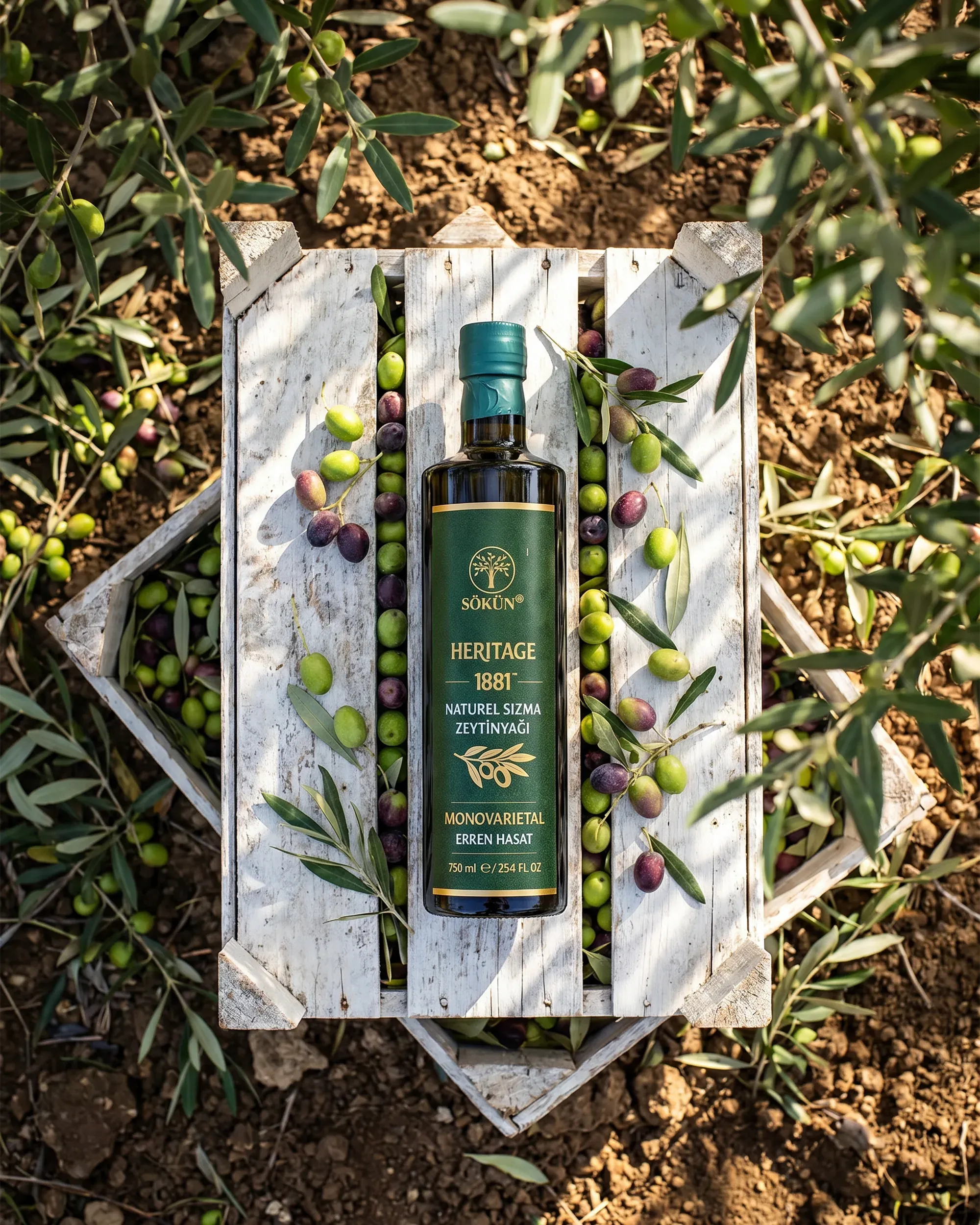 A bottle on a wooden crate surrounded by freshly picked olives