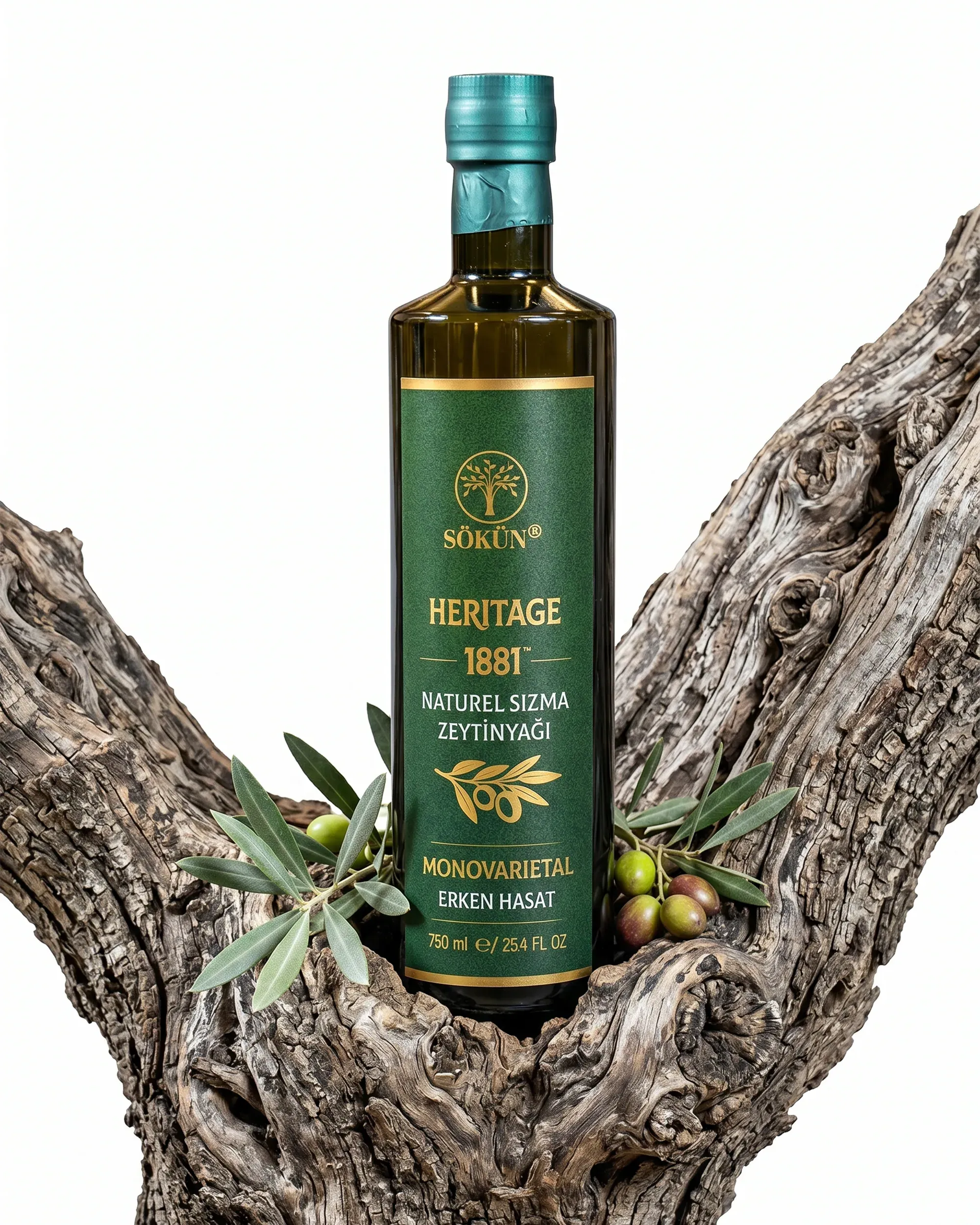 A Sökün Heritage 1881 bottle resting in the fork of an old olive trunk